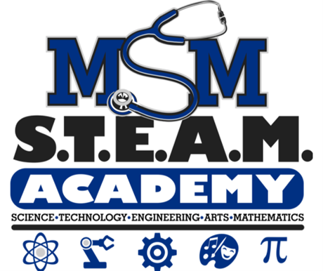 msm steam 9-12